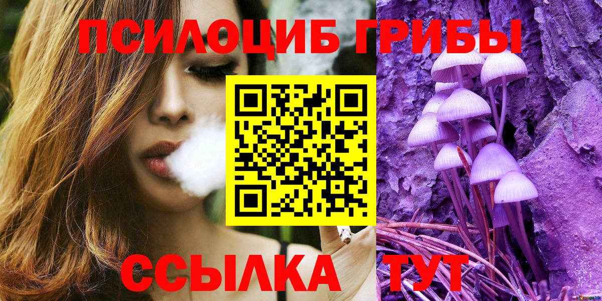 Галлюциногенные грибы Psilocybe Волжск